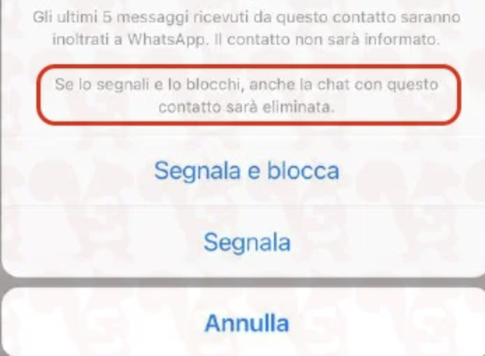 Fare Marketing WhatsApp Blocca Segnala